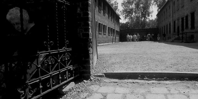 auschwitz-superstite