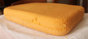 pandispagna