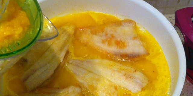 platessa2