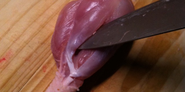 pollo
