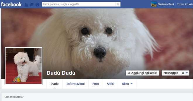 (foto:Web)