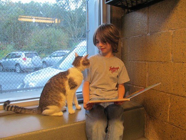 (foto:Web)