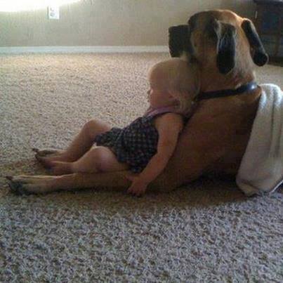 (foto:Web)