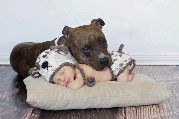 (foto:Web)