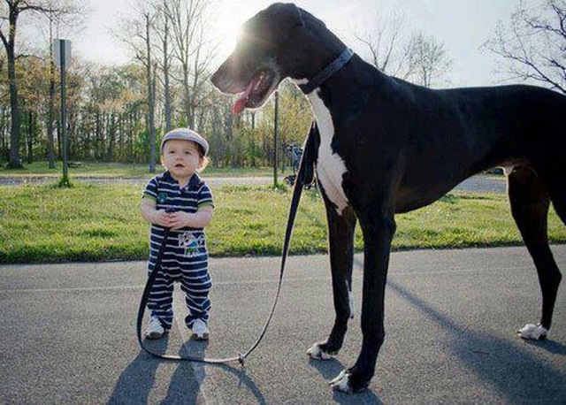 (foto:Web)