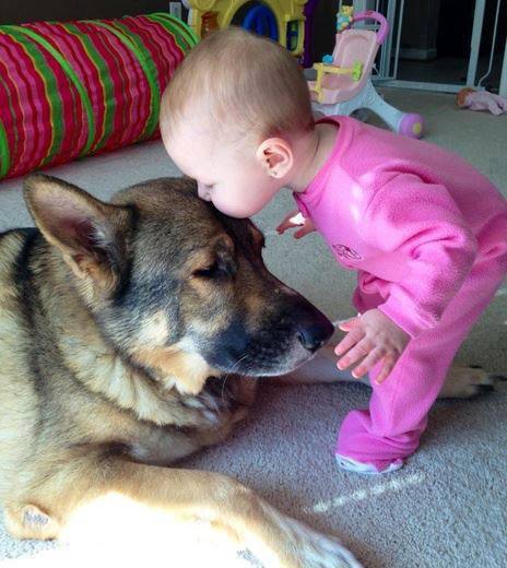 (foto:Web)