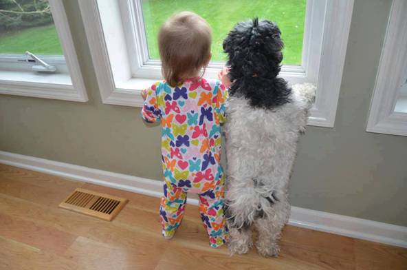 (foto:Web)