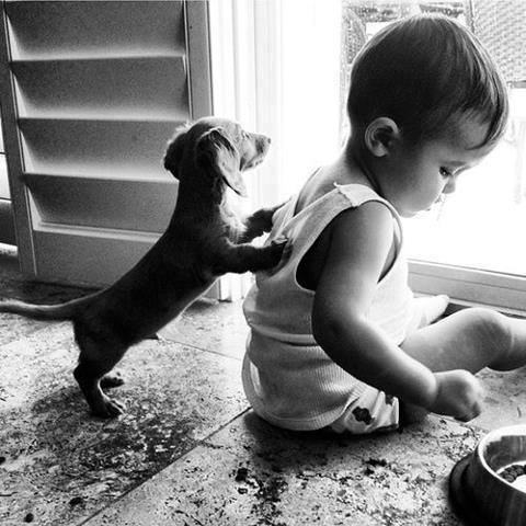 (foto:Web)