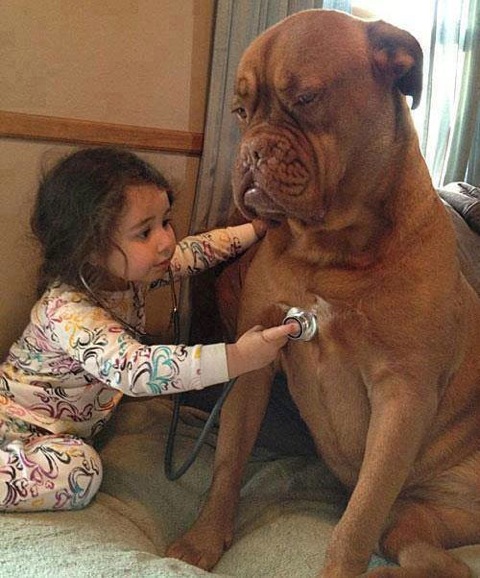 (foto:Web)