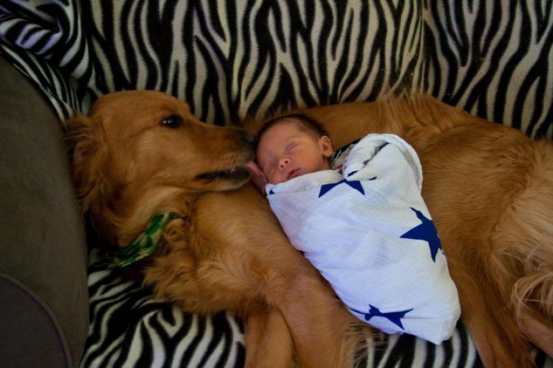 (foto:Web)