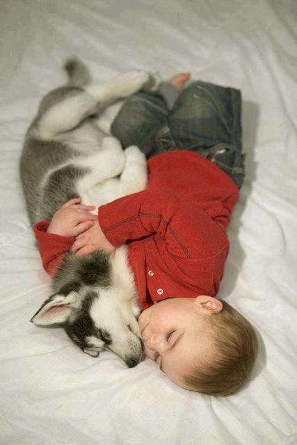 (foto:Web)