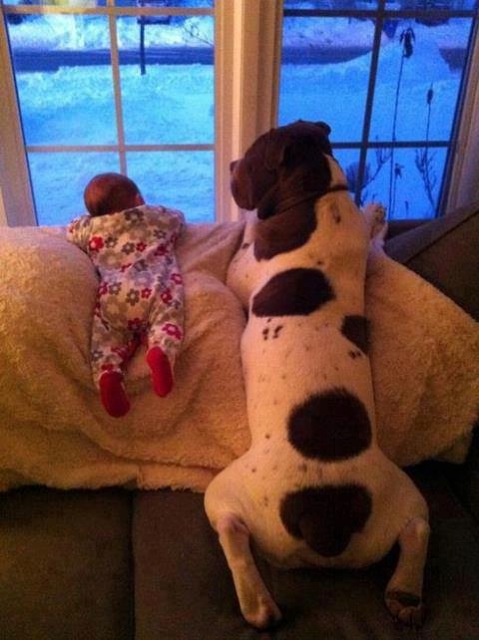 (foto:Web)