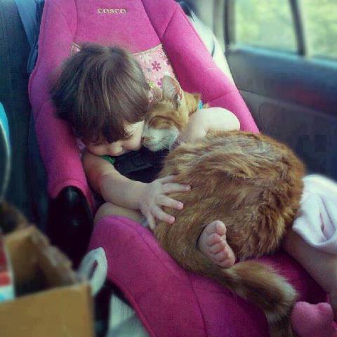 (foto:Web)