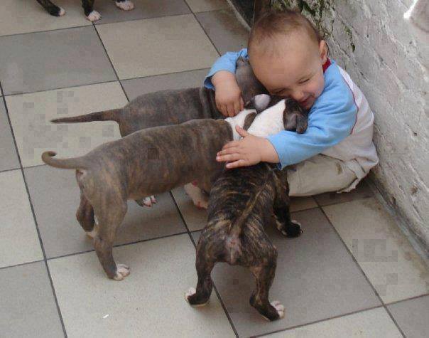 (foto:Web)