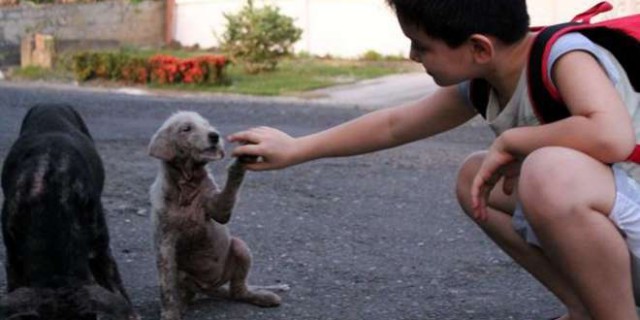 (foto:Web)