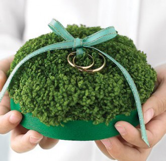 Cuscino per le fedi: classico o …..?