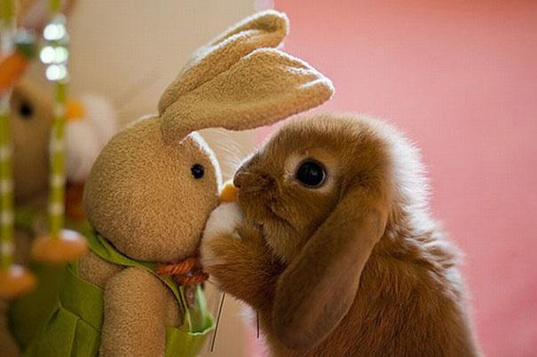 (foto:Web)