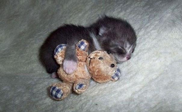 (foto:Web)
