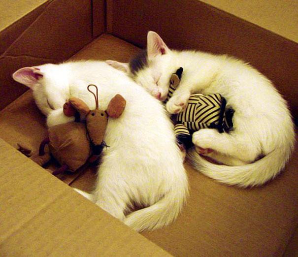 (foto:Web)