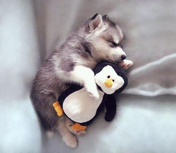 (foto:Web)