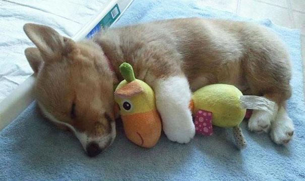 (foto:Web)