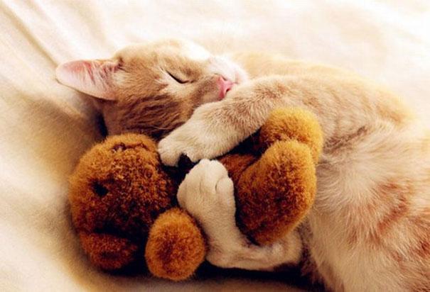 (foto:Web)