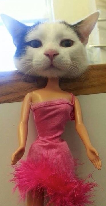 (foto:Web)