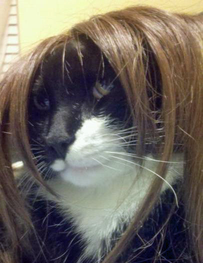 (foto:Web)
