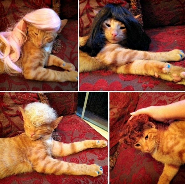 (foto:Web)