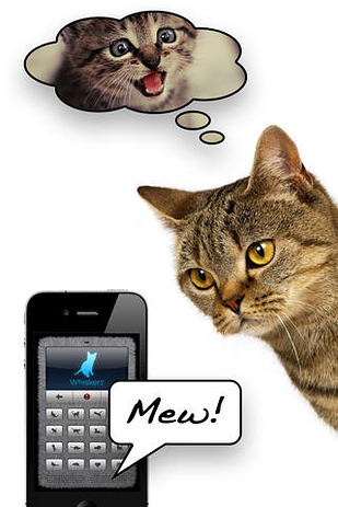(foto:Web)