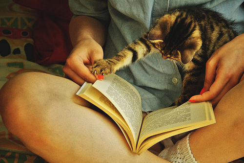 (foto:Web)