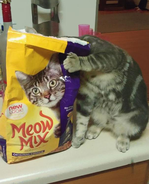 (foto:Web)