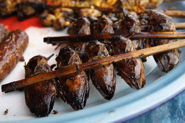 5 cose davvero strane da mangiare ma che sono prelibatezze culinarie