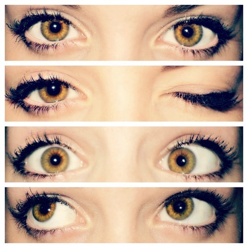 (foto: Tumblr)