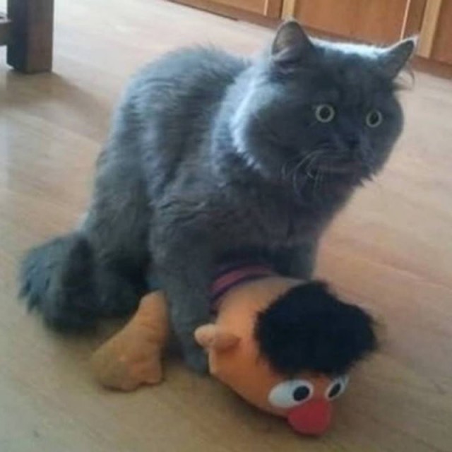 (foto: Web)