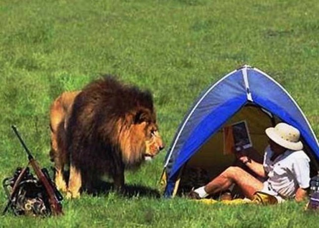 (foto: Web)