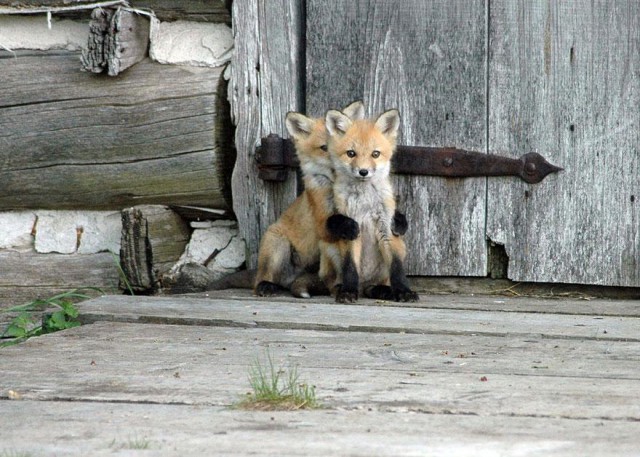 (foto:Web)