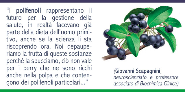 Bacche di Maqui: scopriamo quanto e come fanno bene!