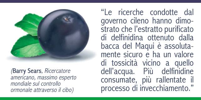 Bacche di Maqui: scopriamo quanto e come fanno bene!