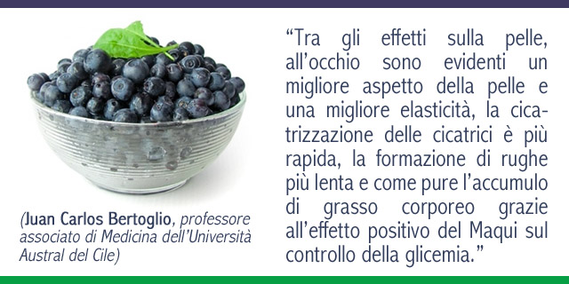 Bacche di Maqui: scopriamo quanto e come fanno bene!
