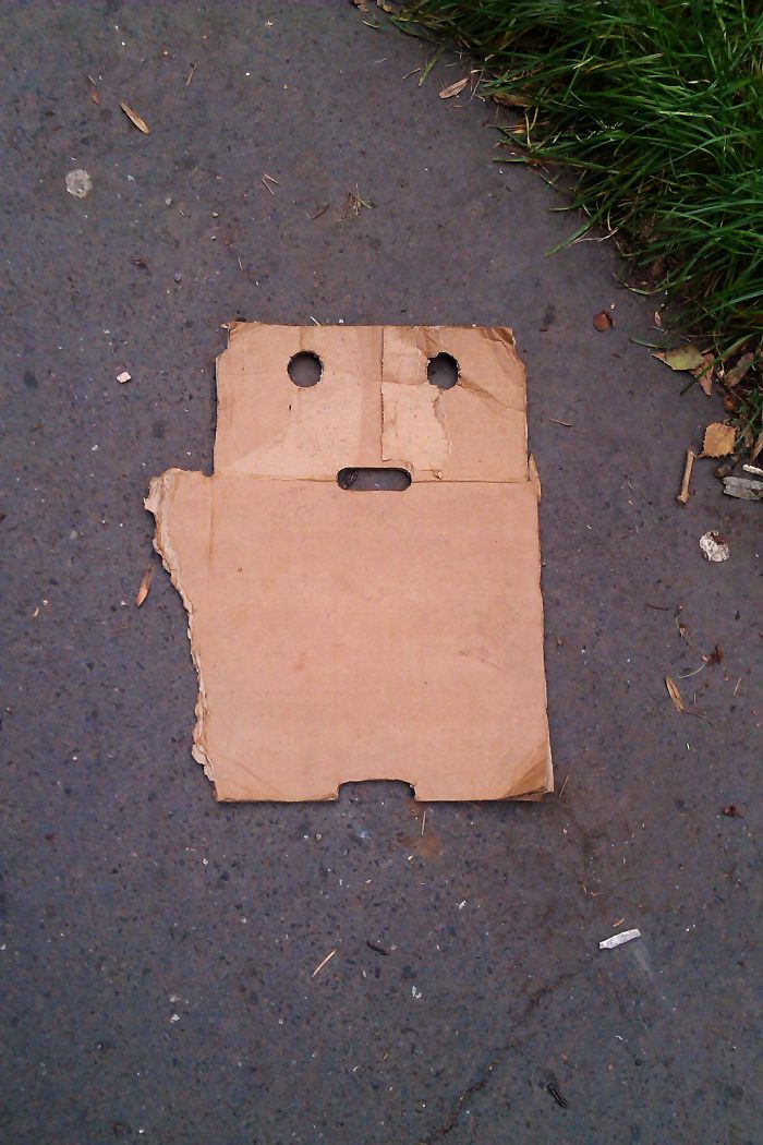 (Foto BoredPanda)