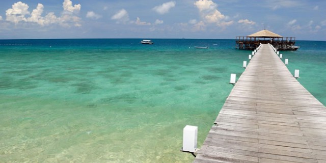 (Foto elitedaily.com)