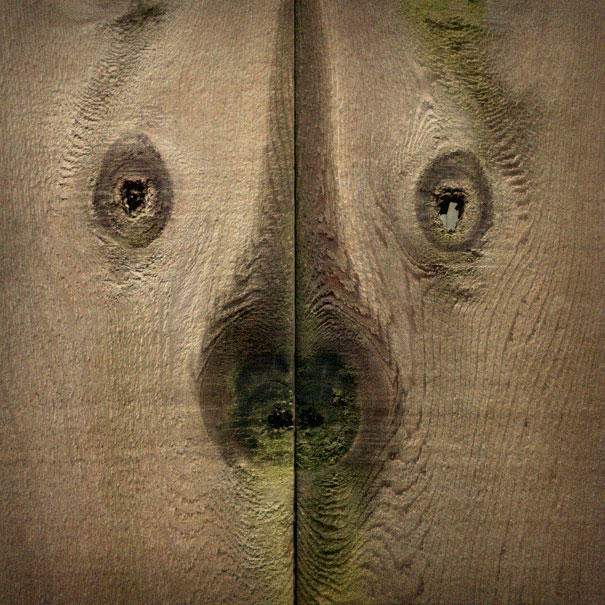 (Foto BoredPanda)