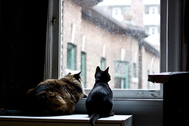 (foto:Web)