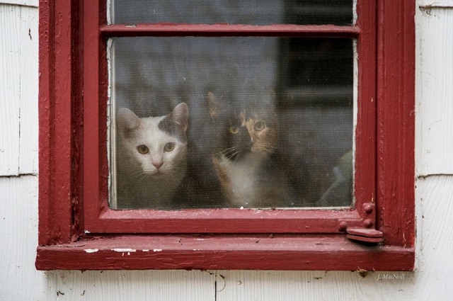 (foto:Web)
