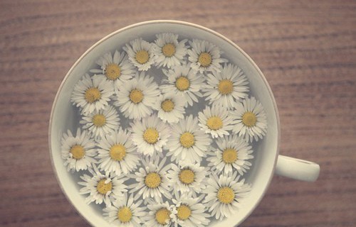 (Fonte: weheartit.com)