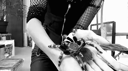 (foto: Tumblr)