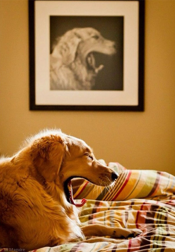(foto: Web)