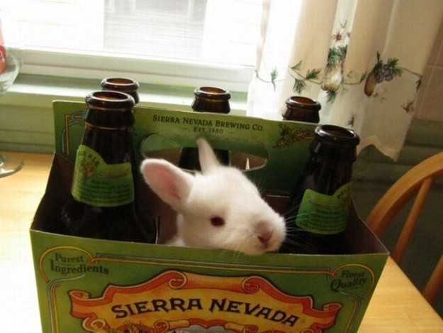 (foto: Web)