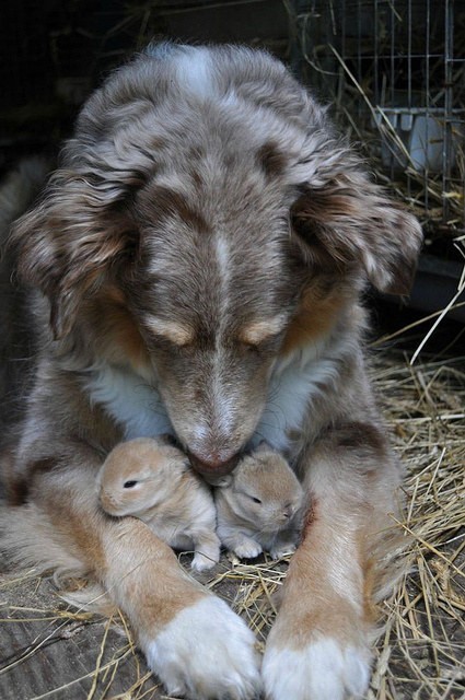 (foto: Web)